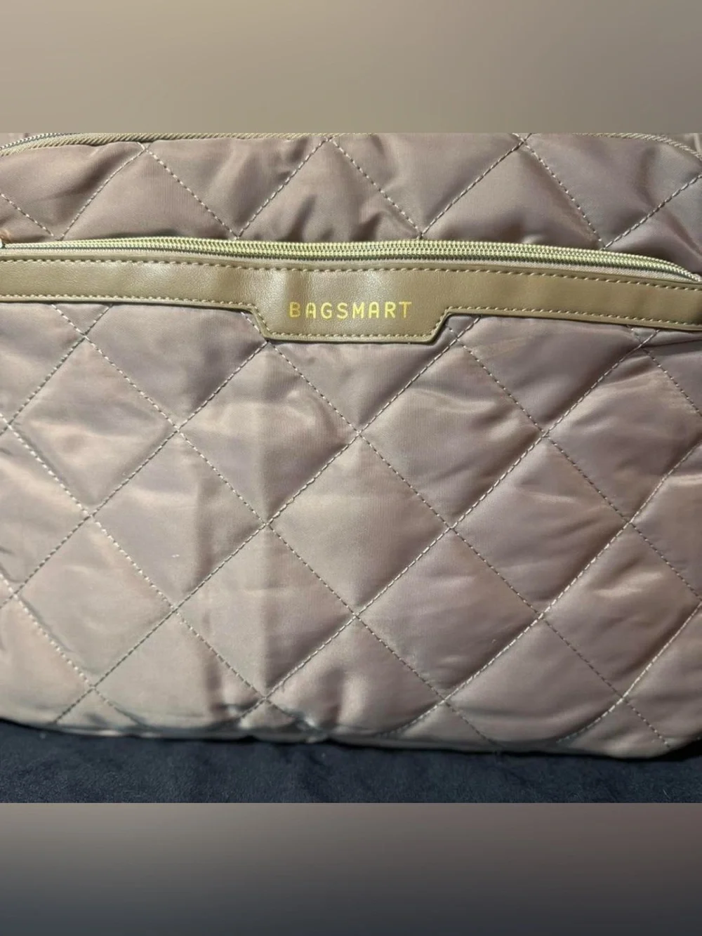 Bagsmart organizers bag